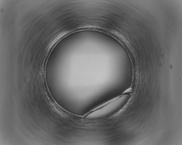 X0000087641129200705241233