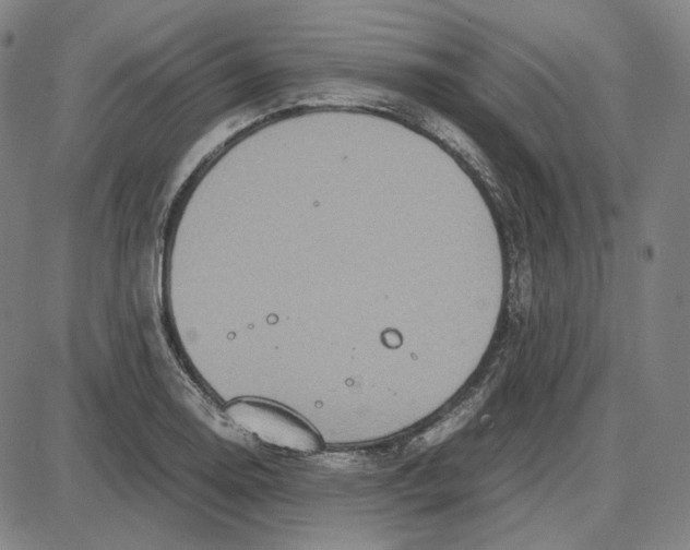 X0000087641130200705241233