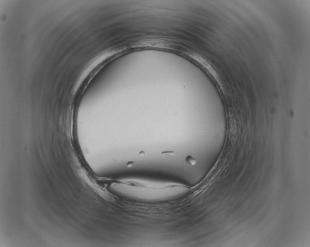 X0000087641131200705241233