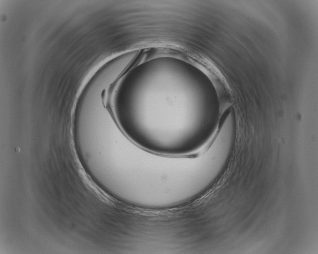 X0000087641132200705241233