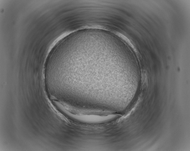 X0000087641133200705241233