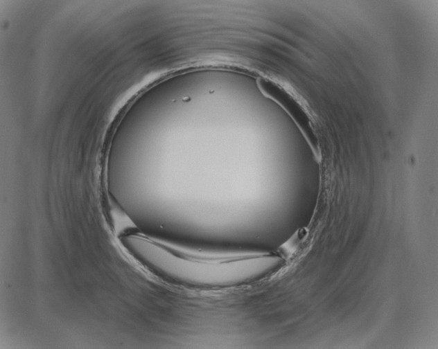 X0000087641134200705241233