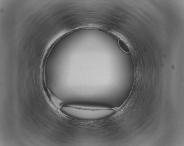 X0000087641135200705241233