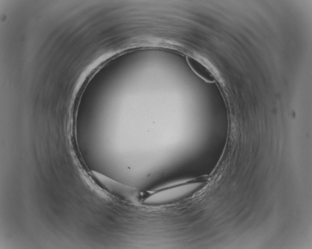 X0000087641136200705241233