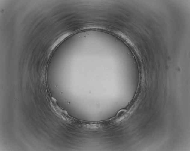 X0000087641137200705241233