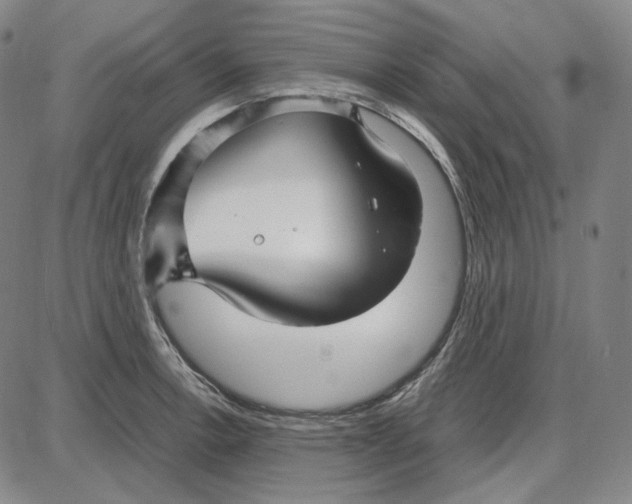 X0000087641138200705241233