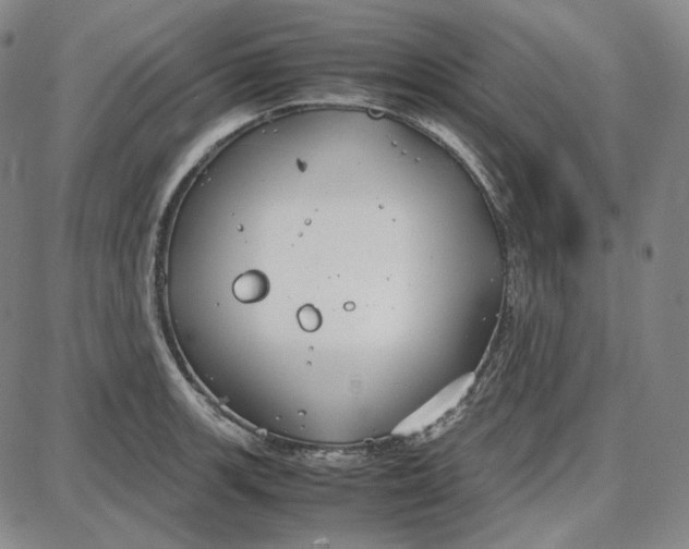 X0000087641139200705241233