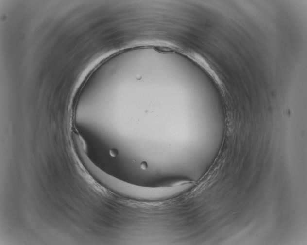 X0000087641140200705241233