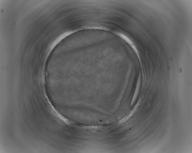 X0000087641141200705241233