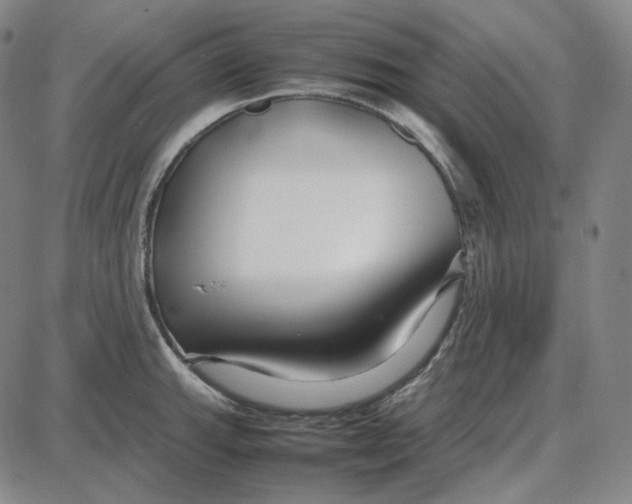 X0000087641143200705241233