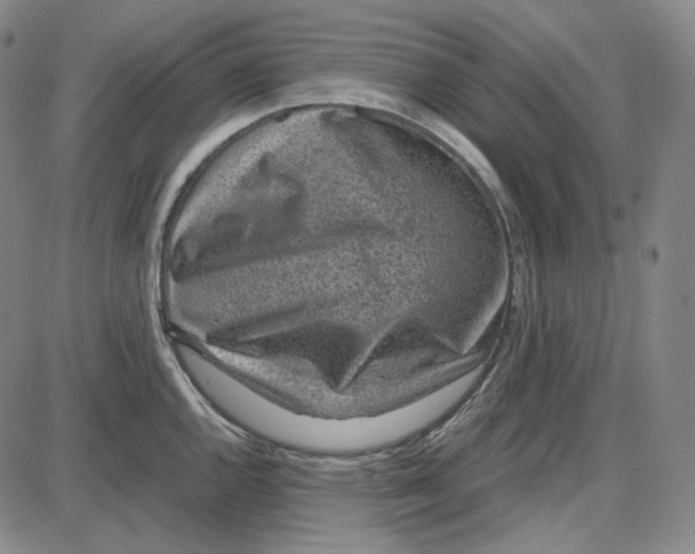 X0000087641144200705241233