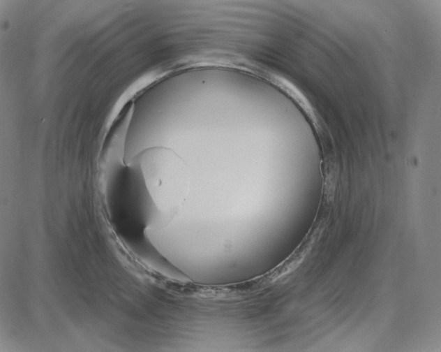 X0000087641146200705241233