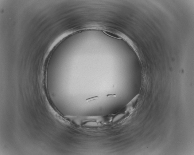 X0000087641147200705241233