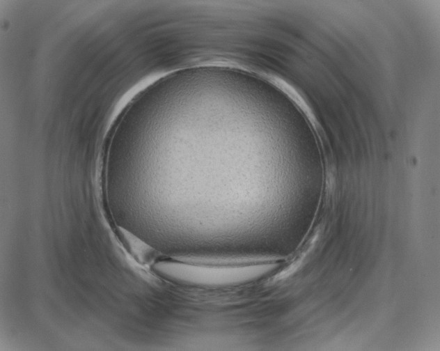 X0000087641149200705241233