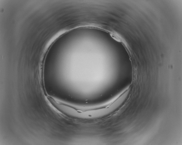 X0000087641151200705241233