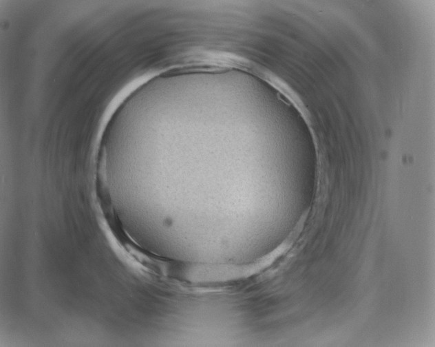 X0000087641152200705241233