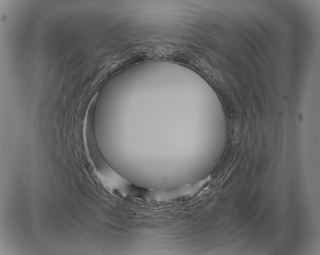 X0000087641153200705241233