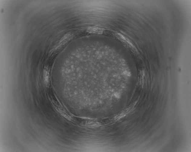 X0000087641154200705241233