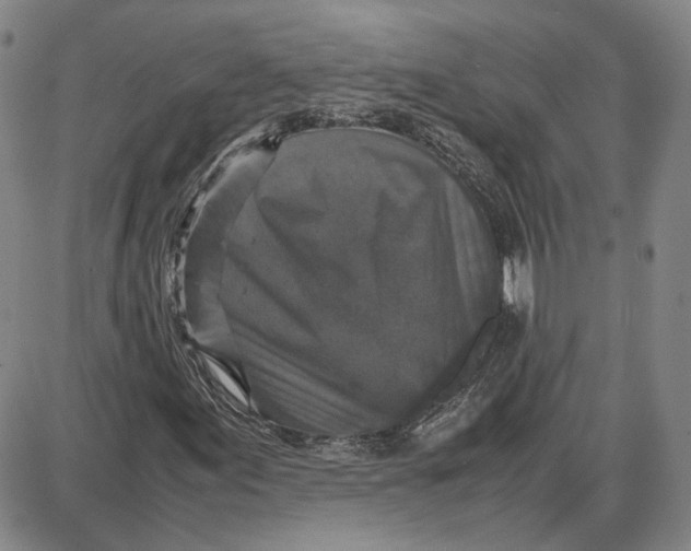 X0000087641155200705241233