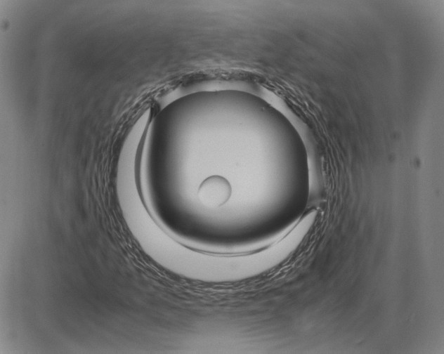 X0000087641157200705241232