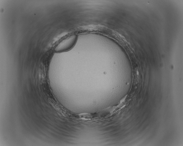 X0000087641158200705241232