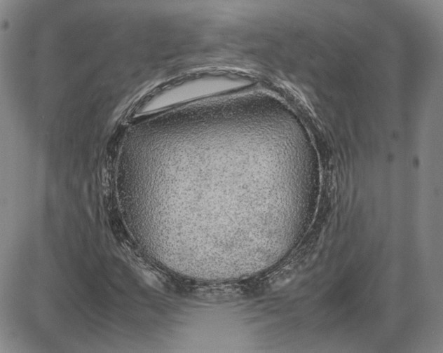 X0000087641159200705241232