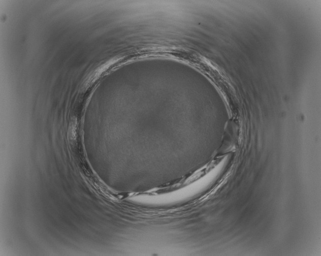 X0000087641161200705241232