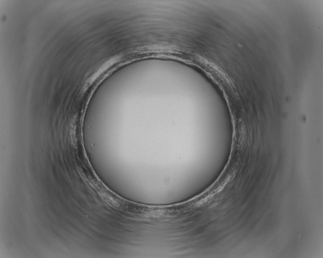 X0000087641162200705241232