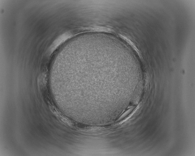 X0000087641163200705241232