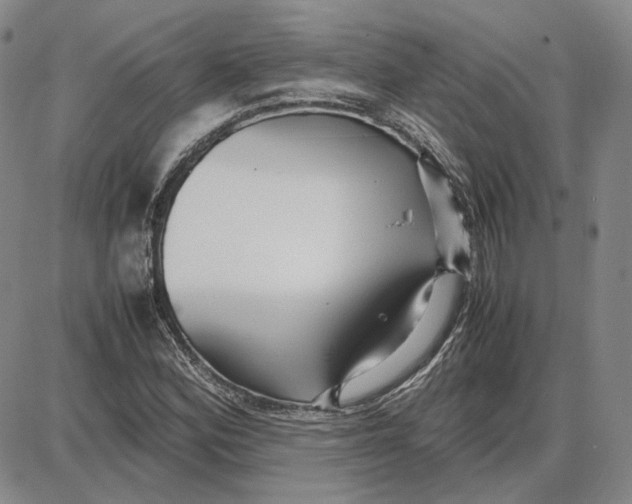 X0000087641164200705241232