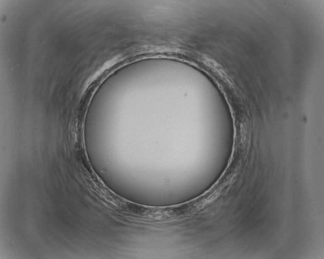 X0000087641165200705241232