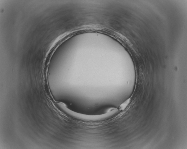 X0000087641168200705241232