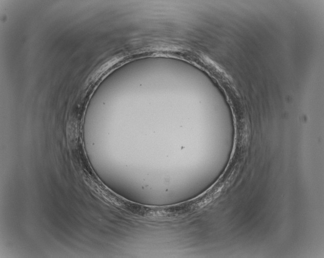 X0000087641169200705241232