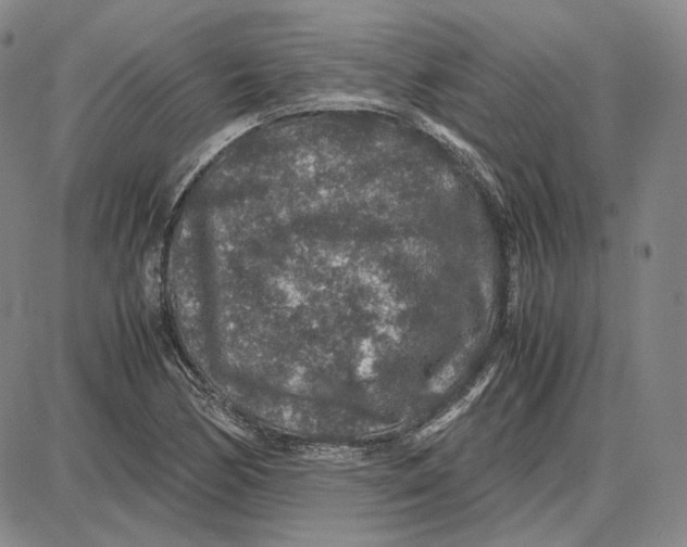 X0000087641170200705241232