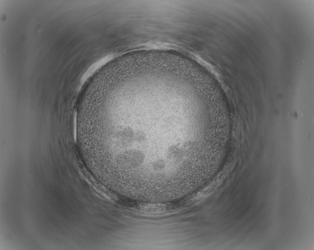 X0000087641171200705241232