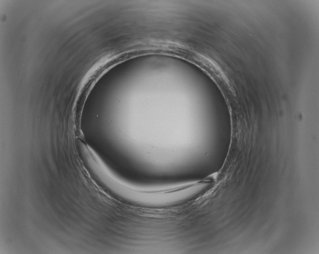 X0000087641172200705241232