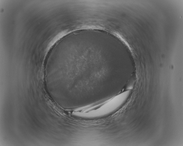 X0000087641173200705241232