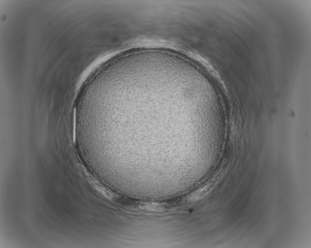 X0000087641175200705241232