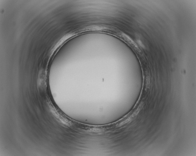 X0000087641178200705241232