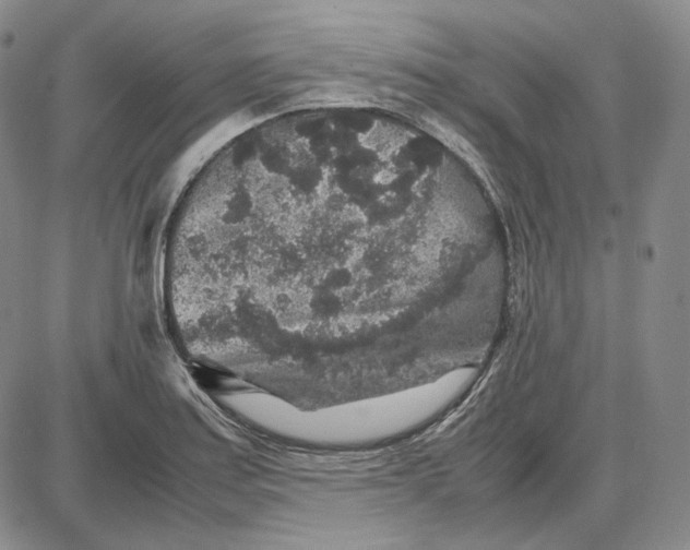 X0000087641179200705241232