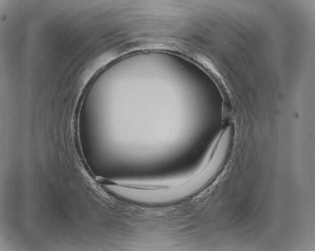 X0000087641181200705241232