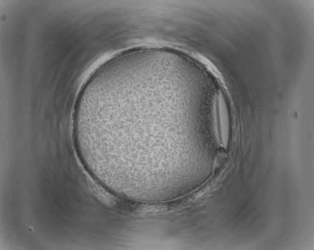 X0000087641183200705241232