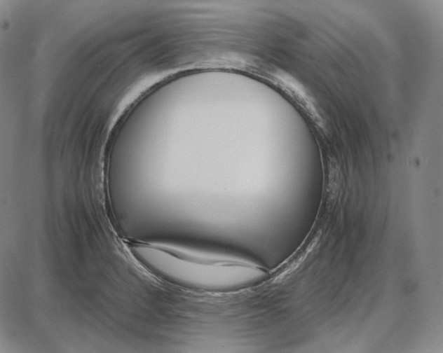 X0000087641184200705241232