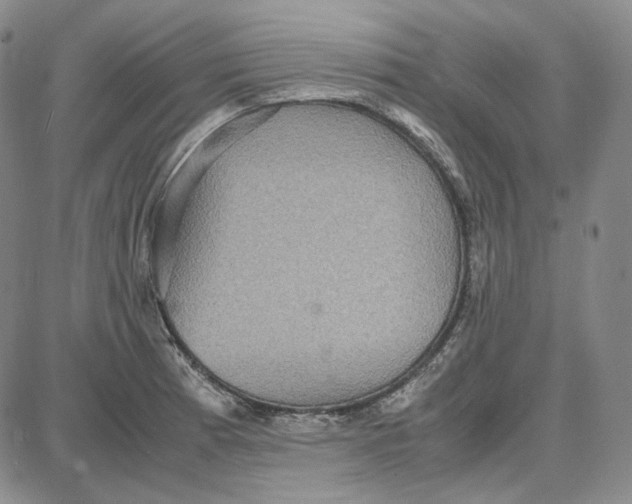 X0000087641185200705241232