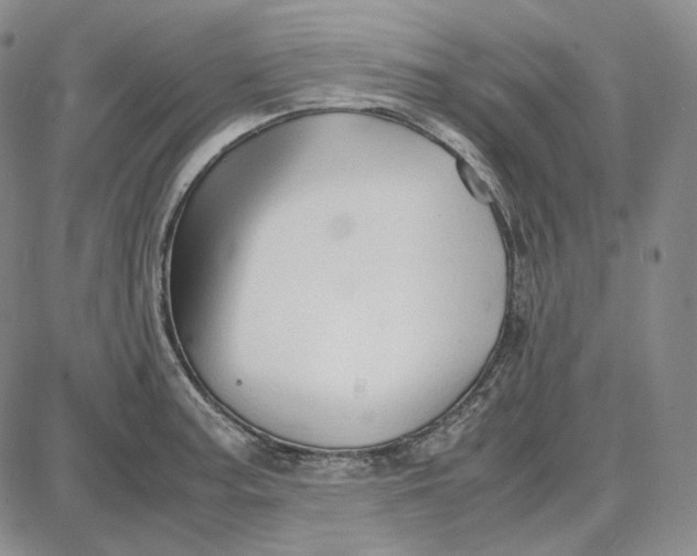 X0000087641187200705241232