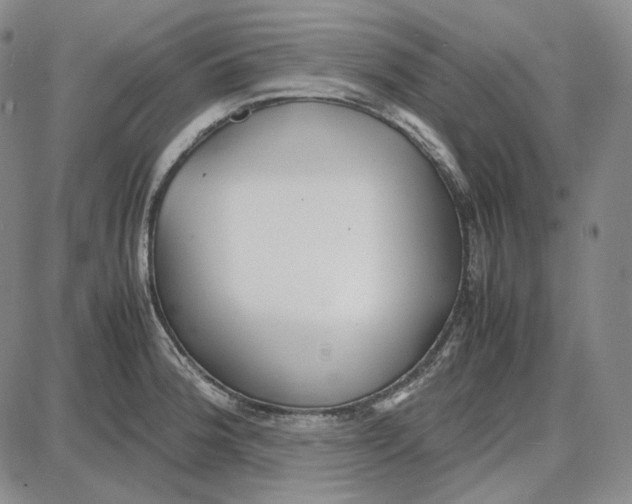 X0000087641188200705241232