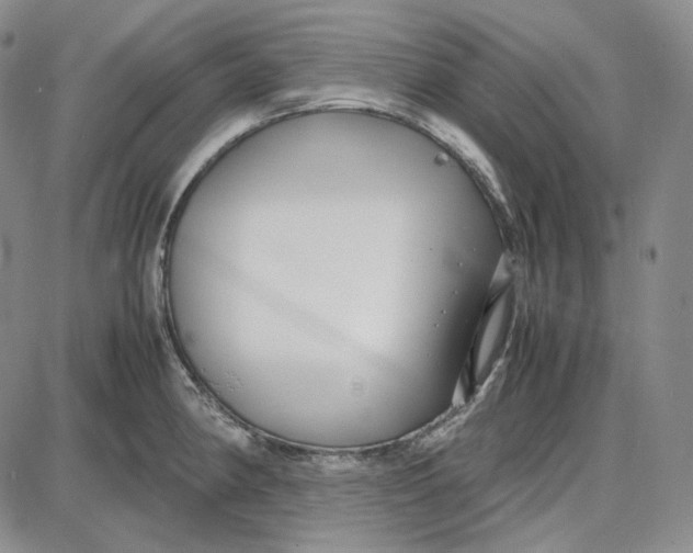 X0000087641190200705241232