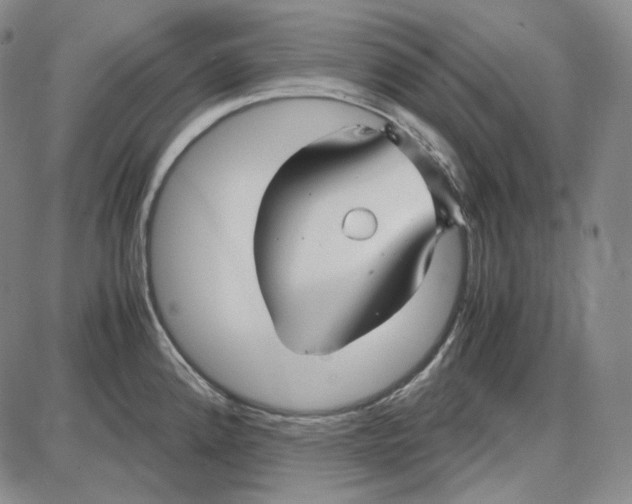 X0000087641192200705241232