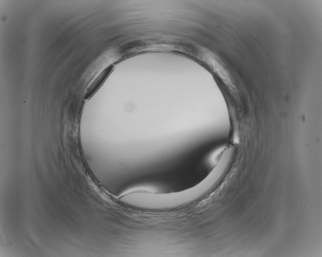 X0000087641193200705241232