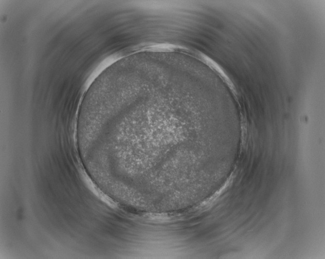 X0000087641194200705241232